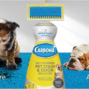 Carbona 2-in-1 Oxy-Powered Pet Stain & Odor Remover w/Active Foam Technology | 22 Fl Oz, 2 Pack